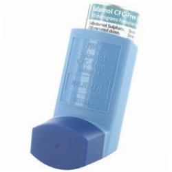 Salbutamol aerosol kosten